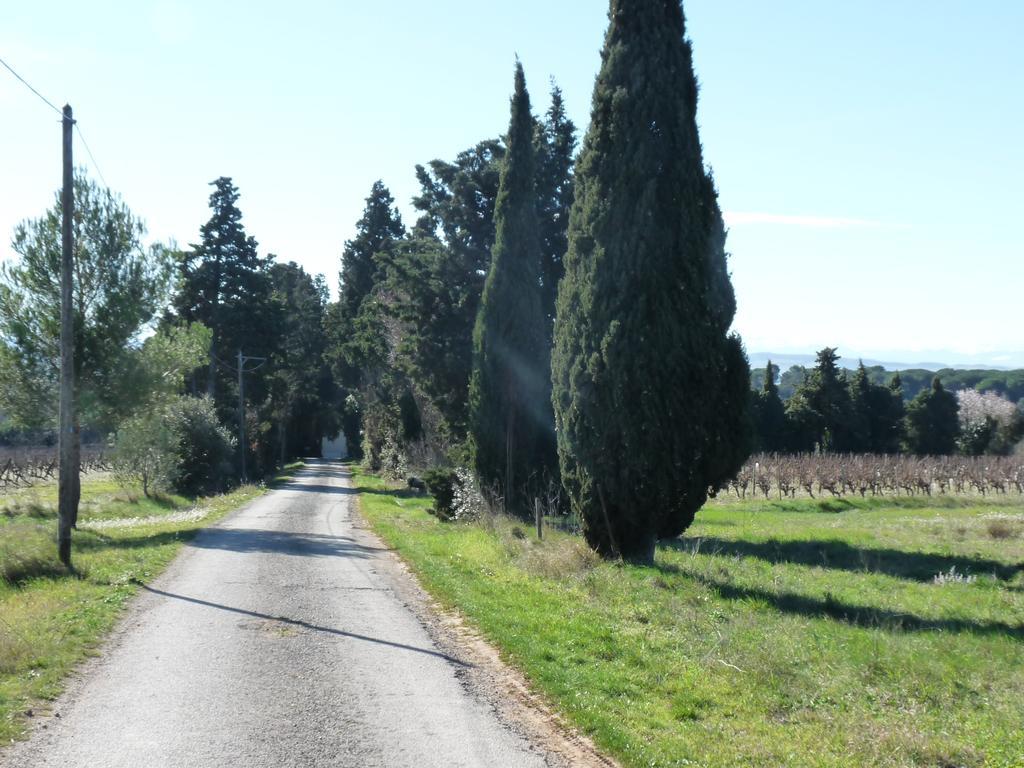 Chateau La Bouriette Moussoulens Exterior photo